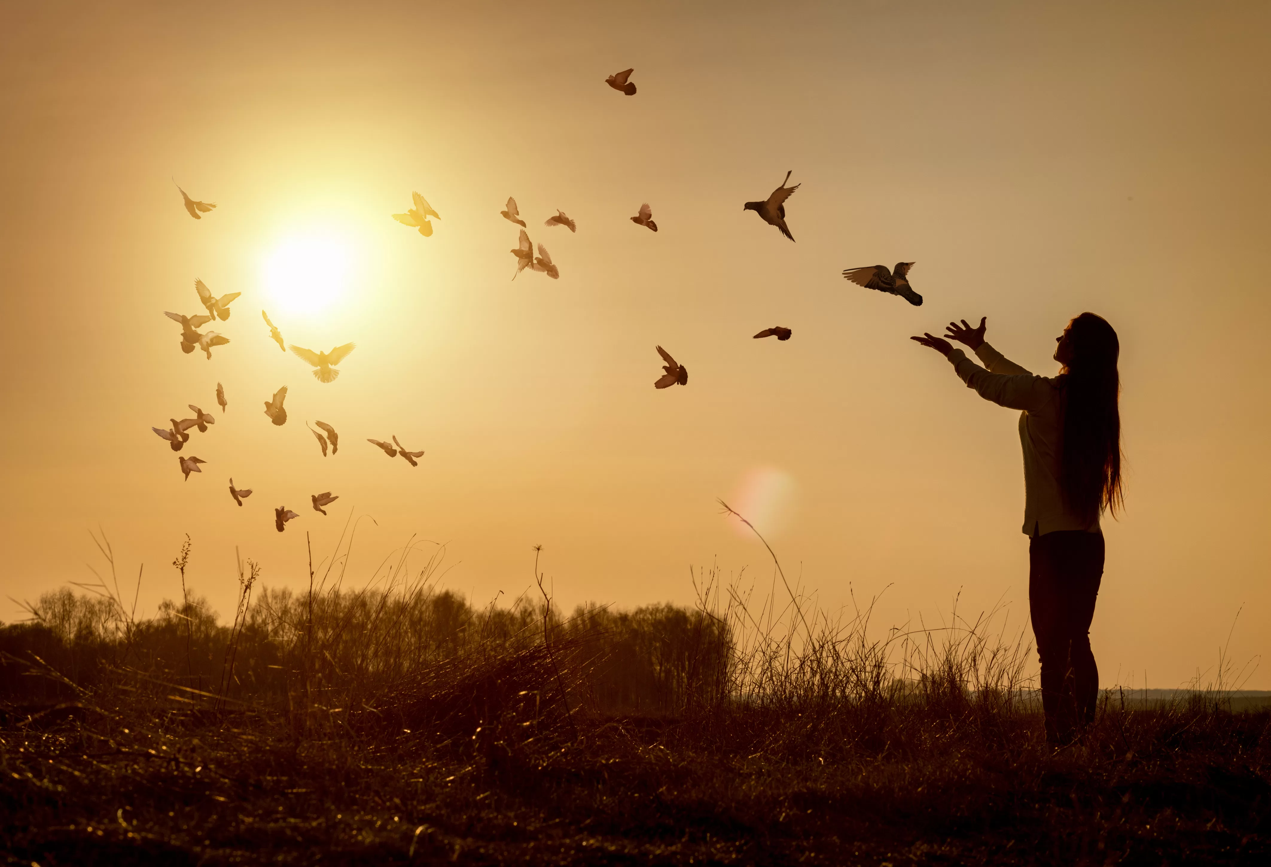 Devocional bíblico sobre confiar en Dios con todo el corazón para encontrar paz, dirección y esperanza en tiempos difíciles según Proverbios 3:5-6