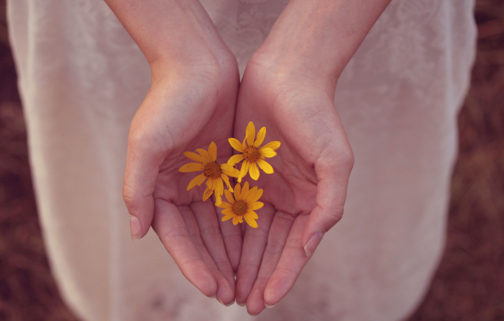 Cómo perdonar según la Biblia y dejar el resentimiento, permitiendo que Dios transforme tu corazón herido.