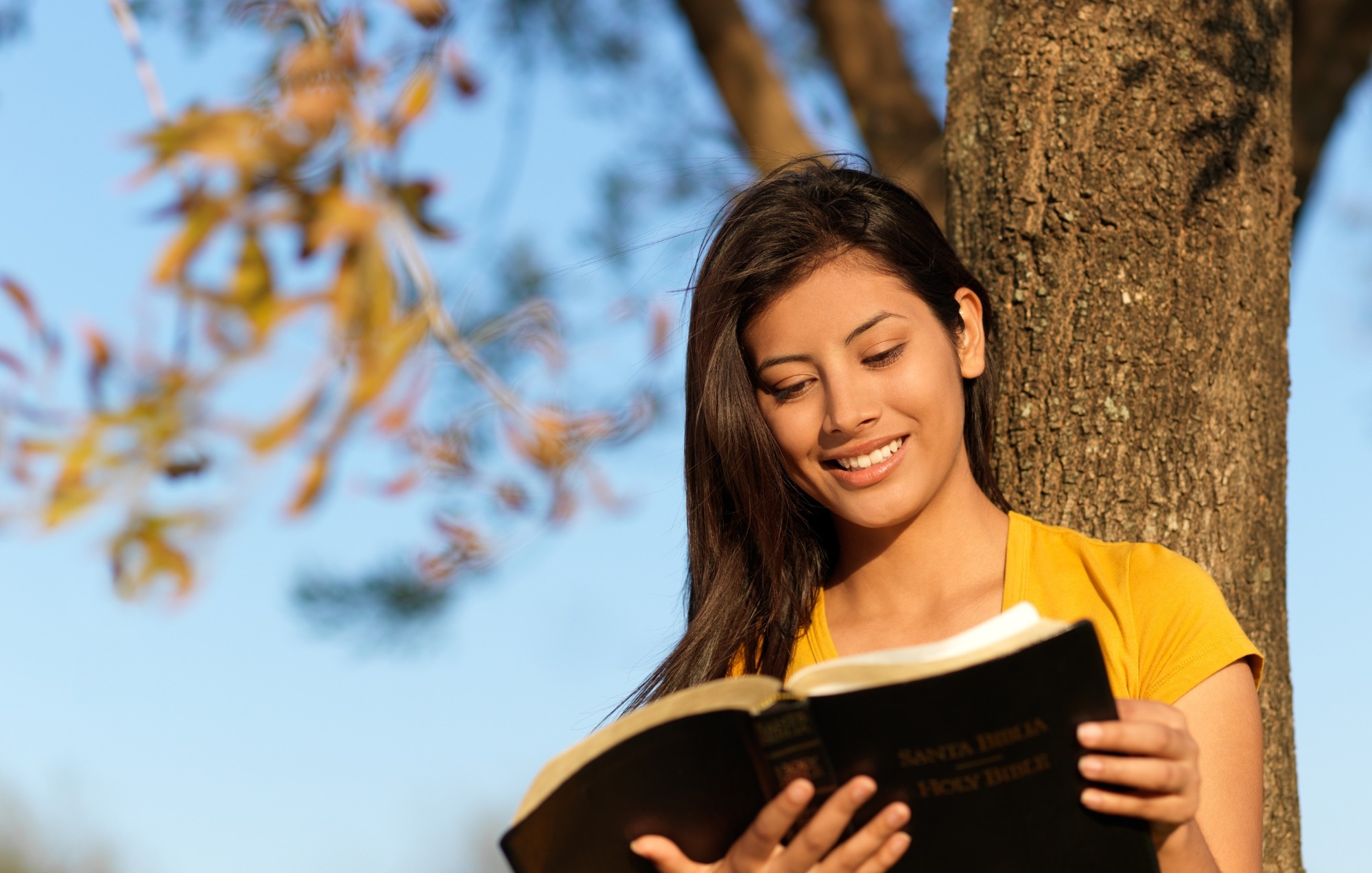 Oración para hacer antes de leer la palabra que pide sabiduría, entendimiento y dirección del Espíritu Santo para un estudio bíblico profundo.