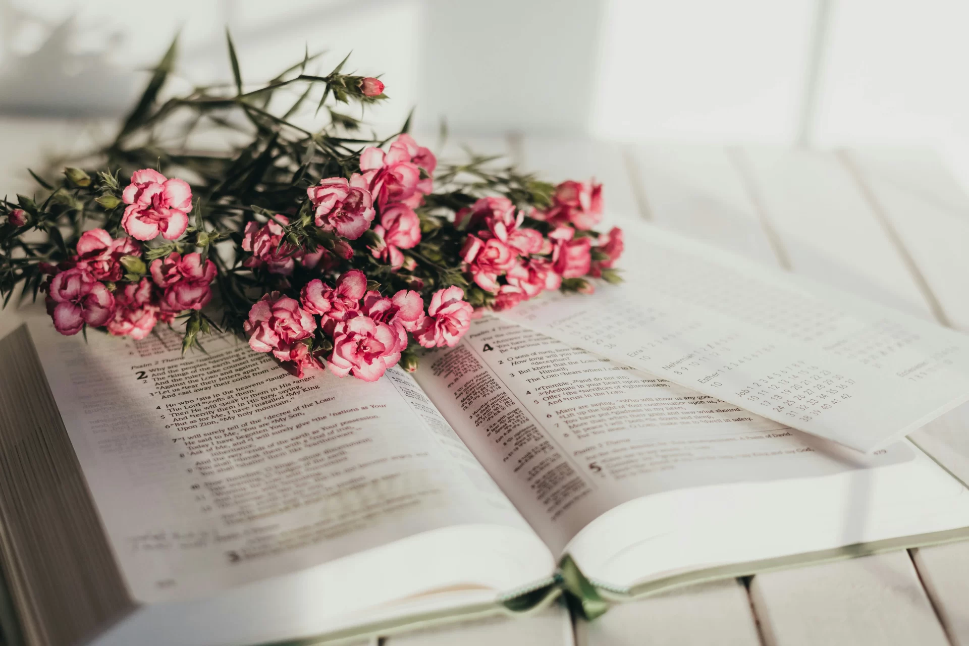 Mujer Virtuosa, blog cristiano para mujeres jóvenes y adultas con estudios bíblicos, devocionales, oraciones, consejos para la vida cristiana, recursos gratuitos e inspiración para seguir a Jesucristo y vivir según el propósito de Dios.